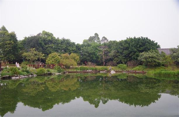 2022广州海珠国家湿地公园旅游攻略 - 门票 - 开放时间 - 地址 - 交通