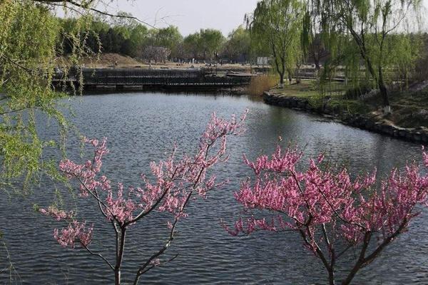 北京圆明园踏青节时间门票及交通介绍