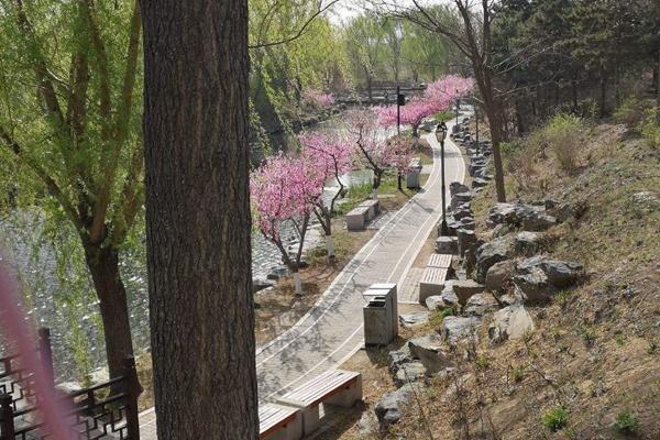 北京圆明园踏青节时间门票及交通介绍