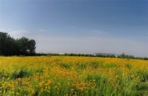 2022长江生态湿地公园门票 - 地址 - 景区介绍
