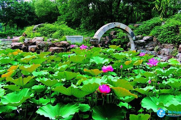 頤和園和圓明園哪個好玩