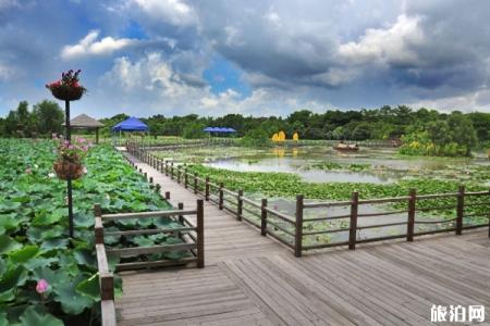 2022南沙湿地公园游玩攻略 - 开放时间 - 门票 - 地址