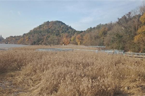 2022南通黃泥山門票 - 地址交通 - 景區介紹