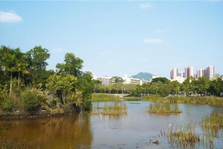 2022深圳松坪山公园游玩攻略 - 门票 - 交通 - 地址 - 天气
