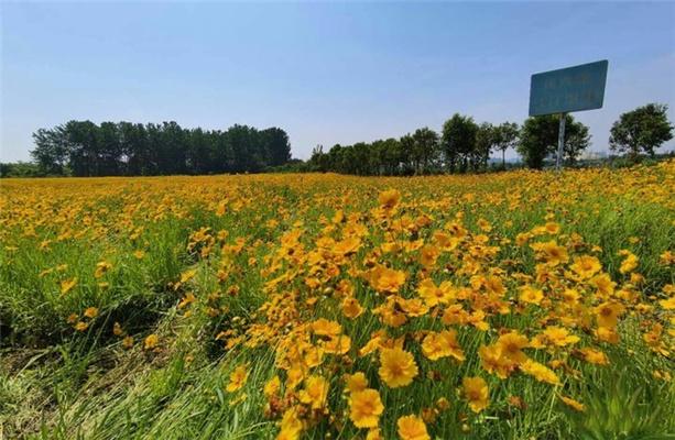 2022长江生态湿地公园门票 - 地址 - 景区介绍