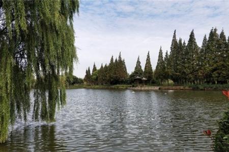 2022邵伯湖风景区地址 - 天气 - 景区介绍