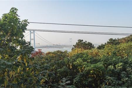 2022黄山炮台简介 - 地址交通 - 景区介绍