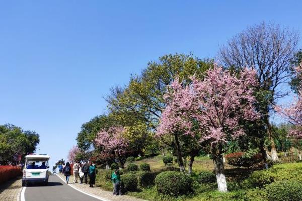 2022杭州超山風(fēng)景區(qū)門票優(yōu)惠