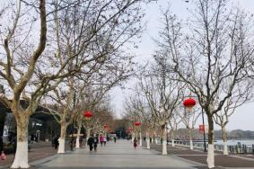 2024上海世纪公园赏梅游园会时间