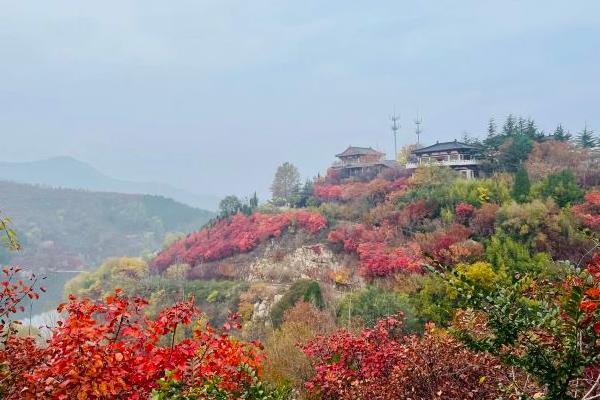 濟南紅葉谷一日游攻略及門票價格