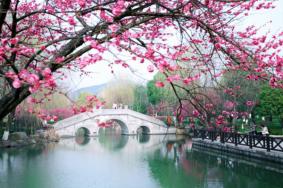 2022杭州超山梅花节开幕时间及亮点一览