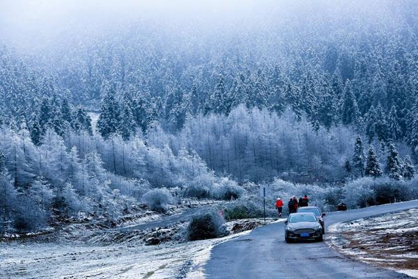 重庆周边玩雪攻略 重庆周边看雪的旅游景点