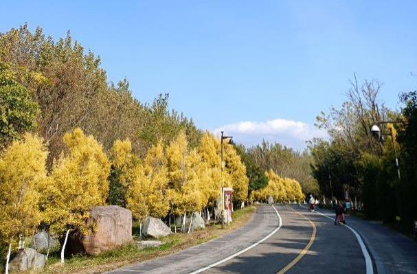 西昌邛海公园要门票吗及游玩攻略