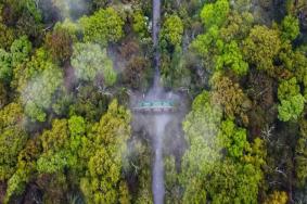 南京钟山风景区门票价格及开放时间一览