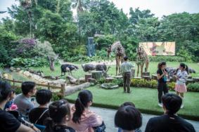 广州长隆野生动物园孩子可以体验的项目