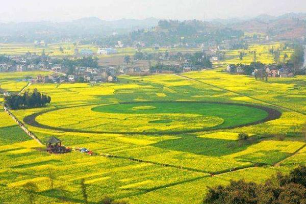 2022重庆潼北菜花节掀幕时候及天面 - 交通指北