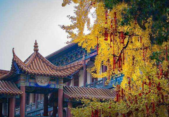 2022春节荆州寺庙暂停对外开放名单