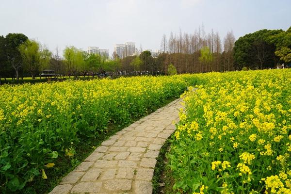 上海世纪公园交通信息及游玩路线