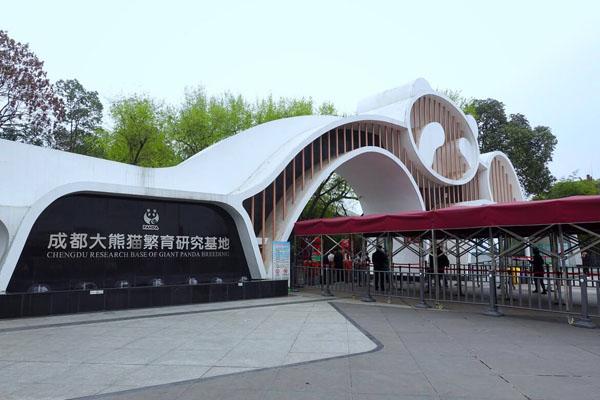 2022成都大熊猫基地春节开放时间 附门票价格
