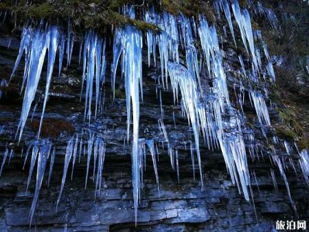神农架冬日滑雪攻略