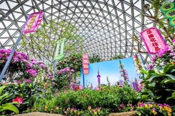 2022上海辰山植物园迎春花展时间及活动内容