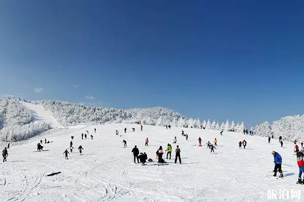 神农架滑雪攻略2022
