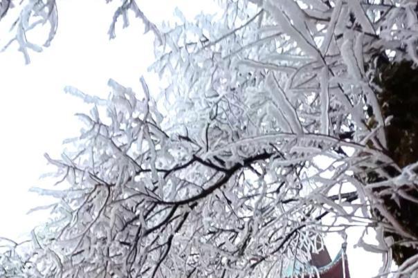 重庆小众看雪的地方 超美风景地推荐