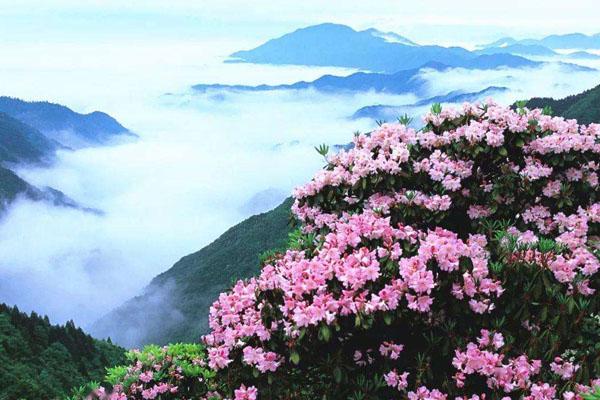 2022天台山华顶景区因受天气影响暂停对外开放通知