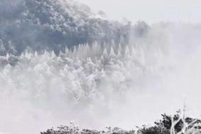 2月7日起天台山景区内宗教场所恢复对外开放