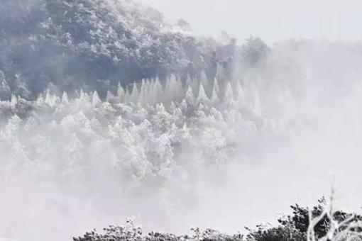 2月7日起天臺山景區內宗教場所恢復對外開放