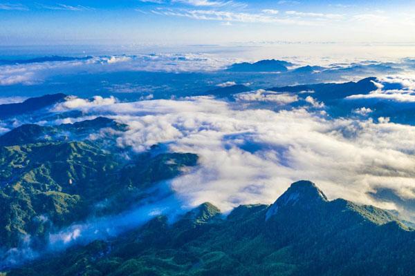 2022大云山国家森林公园自2月7日起临时关闭通知