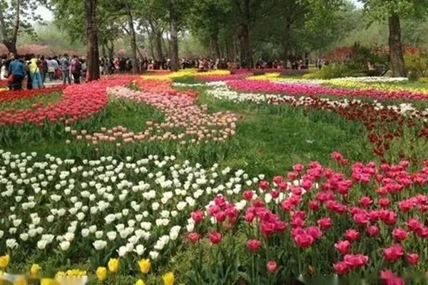 2022中山春季赏花的好去处在哪