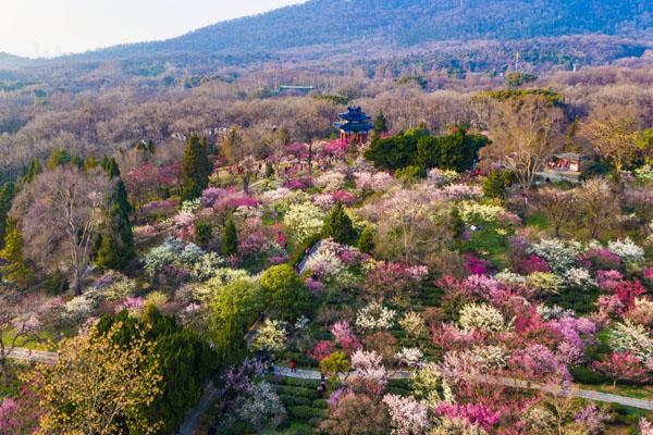 南京春季游玩好去處 春游最適合去的地方