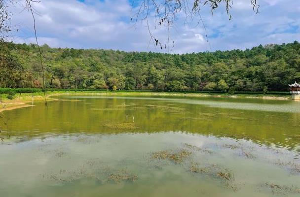 2022年3月起貴陽長坡嶺國家級森林公園門票免費