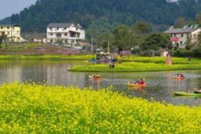 重庆春季哪里有花海的景点