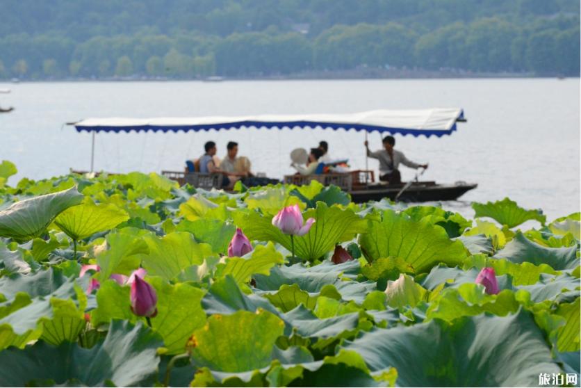 杭州西湖环湖有哪些方式