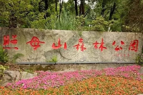 2022重庆渝北去哪里看樱花 重庆渝北赏花最佳地点