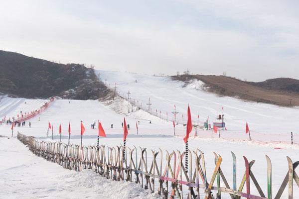 2022天津盘山滑雪场夜场门票价格及开放时间 最新优惠活动