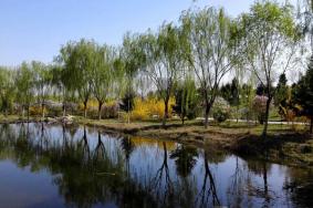 2022北京金水湖景区将在2月13日至4月1日暂停营业通知