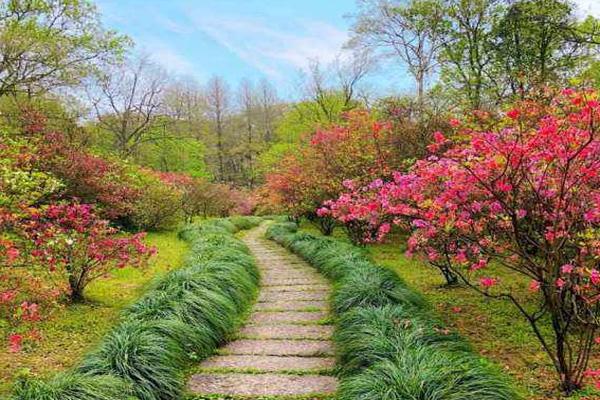 杭州植物園門票怎么預約 