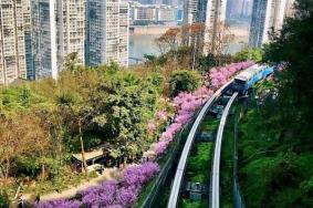 重庆春季踏青游玩路线推荐