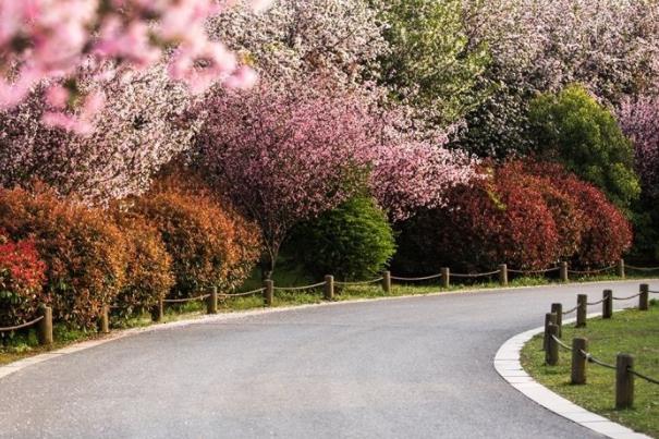 無錫健身步道匯總 適合跑步的公園