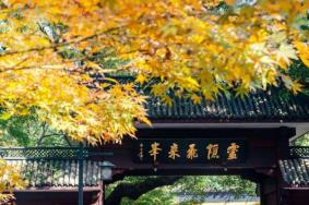 2022杭州灵隐寺免费开放日 免费开放时间一览