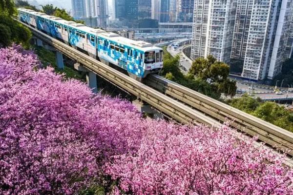 重庆开往春天的列车在哪里 最佳拍摄地推荐