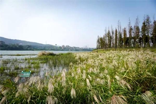 長沙踏青的好去處 長沙踏青景點推薦