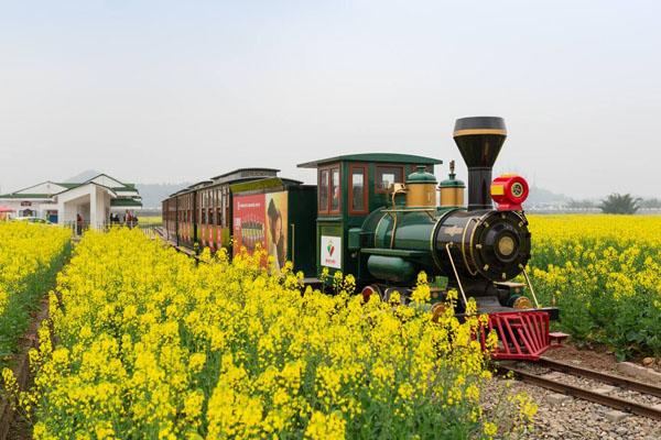 2022潼北油菜花节是几月几日 门票多少钱