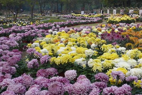 2022武汉植物园牡丹花展活动时间及门票价格