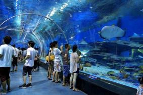 2022郑州海洋馆怎么免费游玩?预约教程请收好