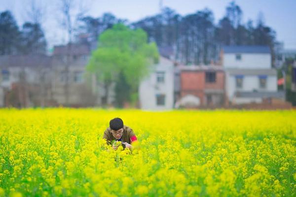 2022武汉附近看油菜花去哪里 下面这些地方都非常值得一去