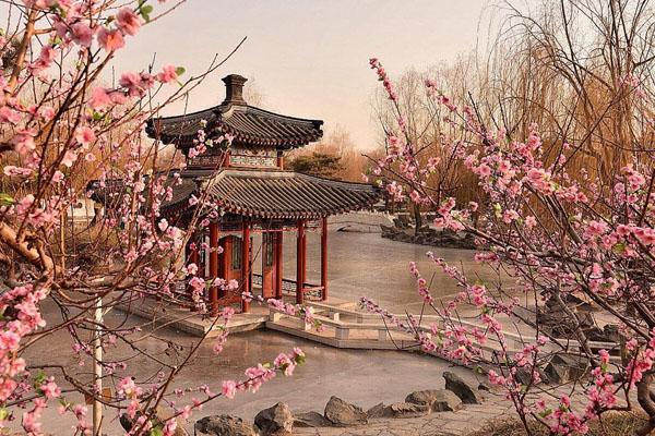 2022北京观赏梅花景点 最佳赏花攻略